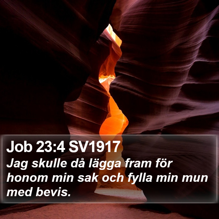 Job 23:4 SV1917 Bible Study