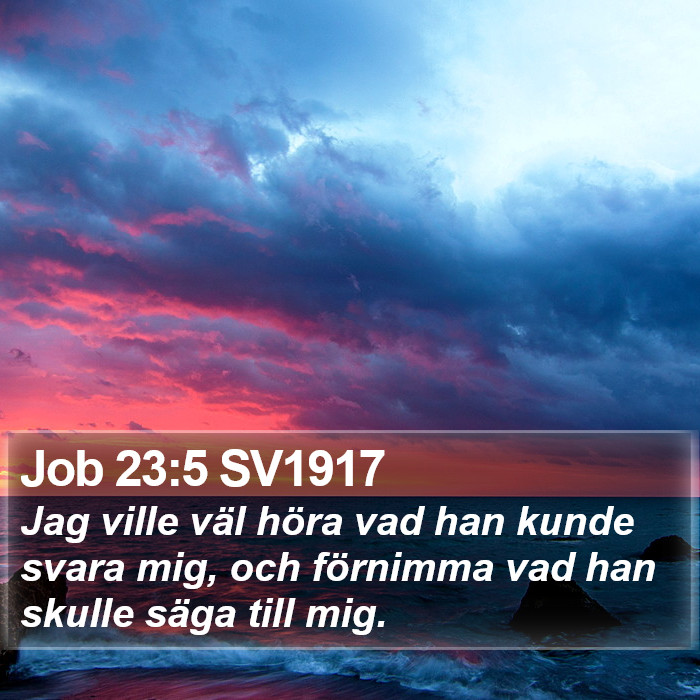 Job 23:5 SV1917 Bible Study