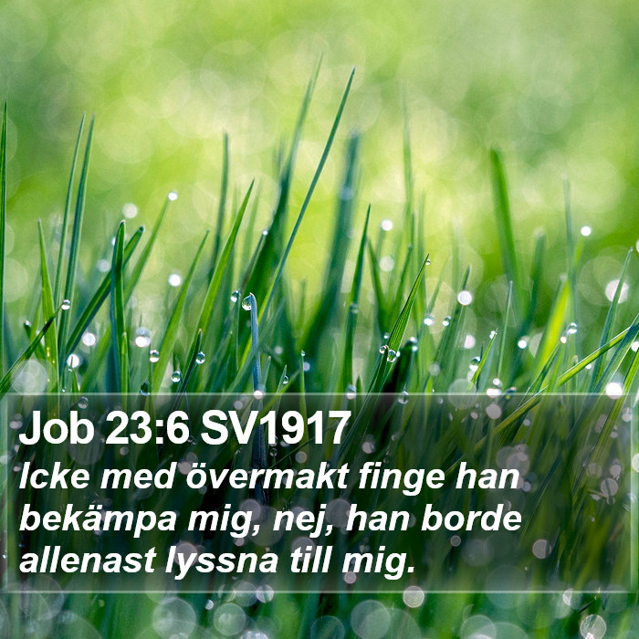 Job 23:6 SV1917 Bible Study