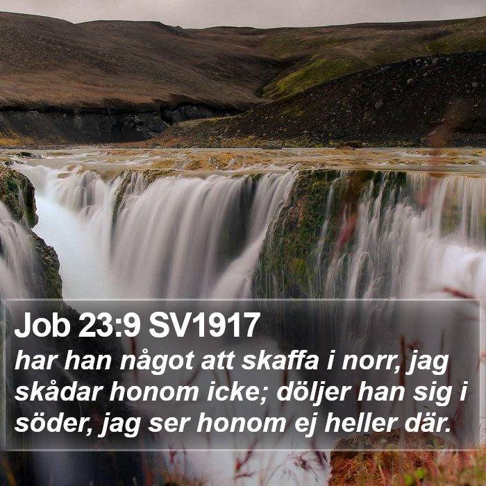 Job 23:9 SV1917 Bible Study