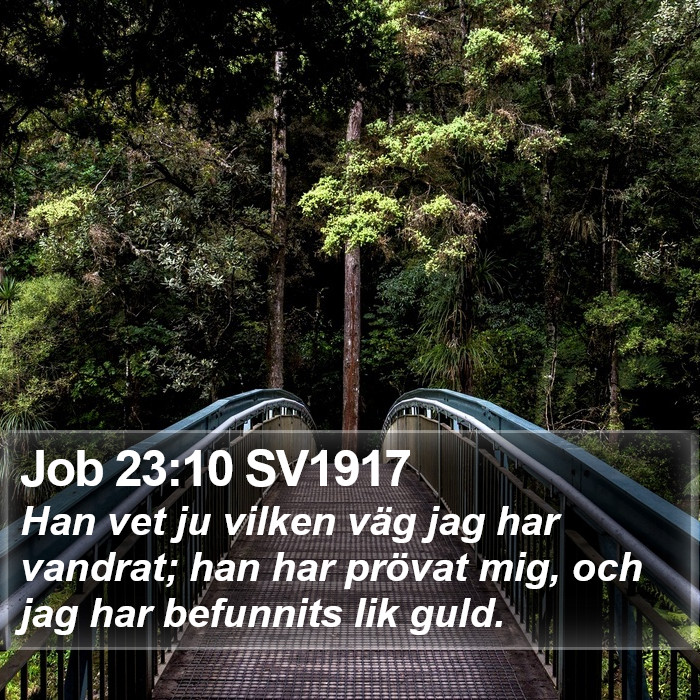 Job 23:10 SV1917 Bible Study