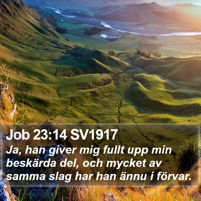 Job 23:14 SV1917 Bible Study