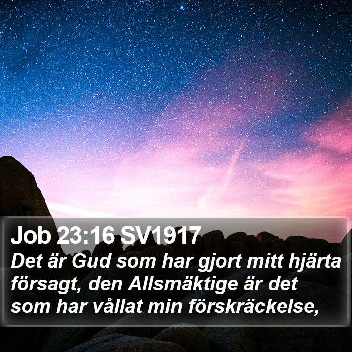 Job 23:16 SV1917 Bible Study