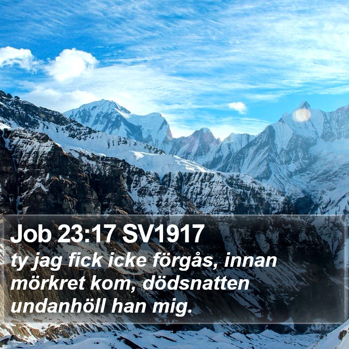 Job 23:17 SV1917 Bible Study