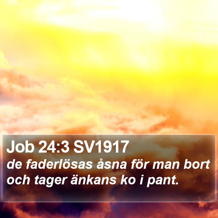 Job 24:3 SV1917 Bible Study