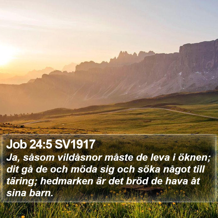 Job 24:5 SV1917 Bible Study