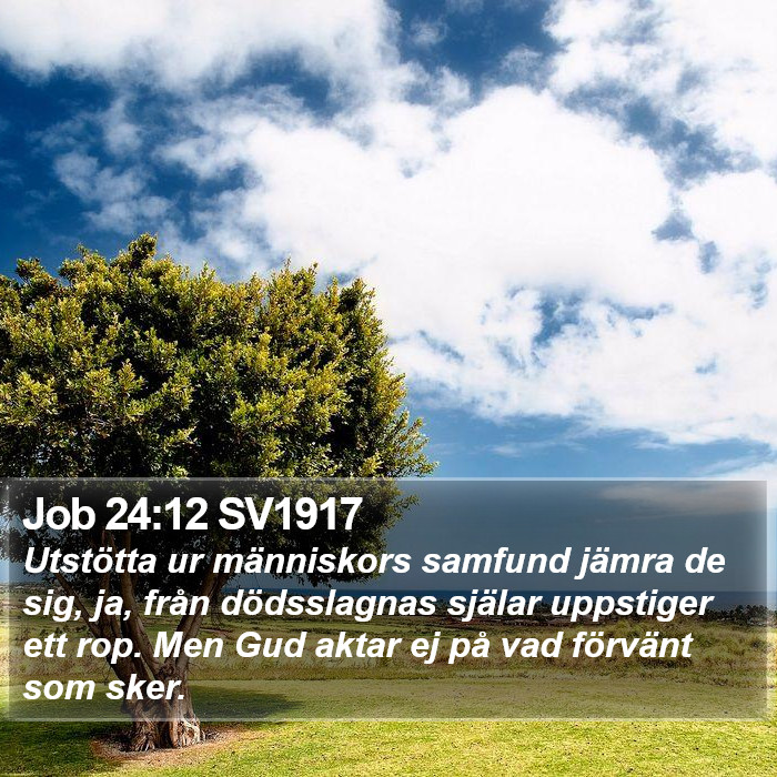 Job 24:12 SV1917 Bible Study