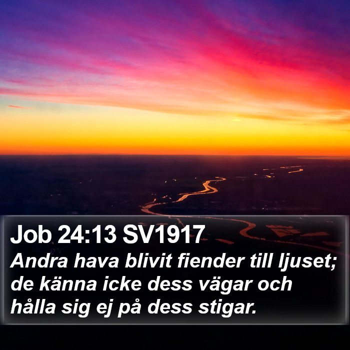 Job 24:13 SV1917 Bible Study