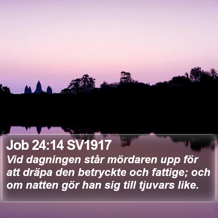 Job 24:14 SV1917 Bible Study