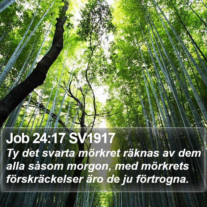 Job 24:17 SV1917 Bible Study