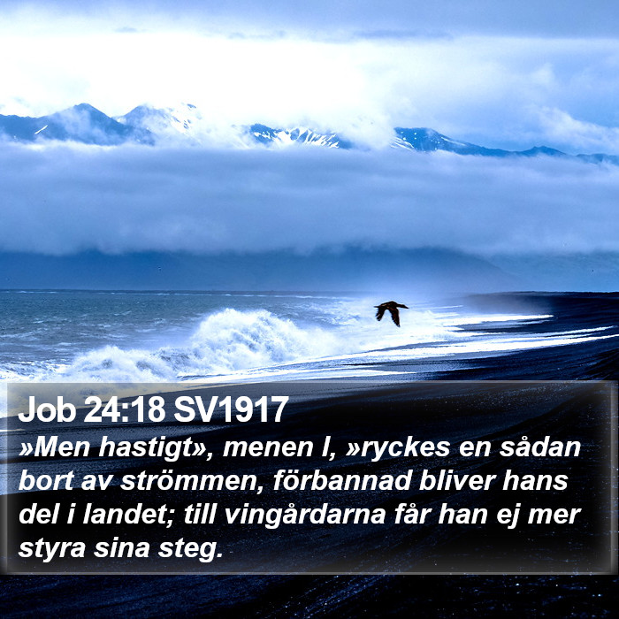 Job 24:18 SV1917 Bible Study