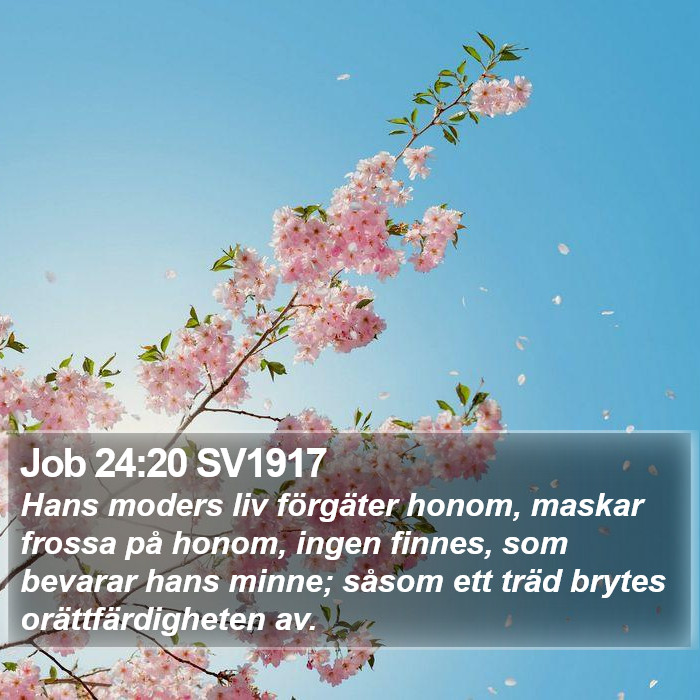 Job 24:20 SV1917 Bible Study