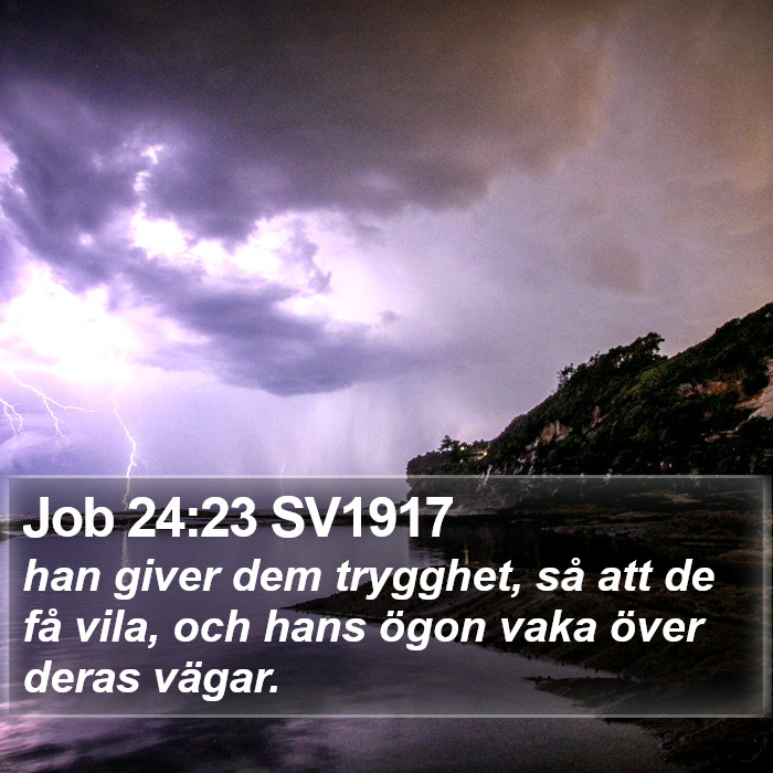 Job 24:23 SV1917 Bible Study