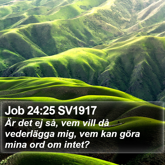 Job 24:25 SV1917 Bible Study