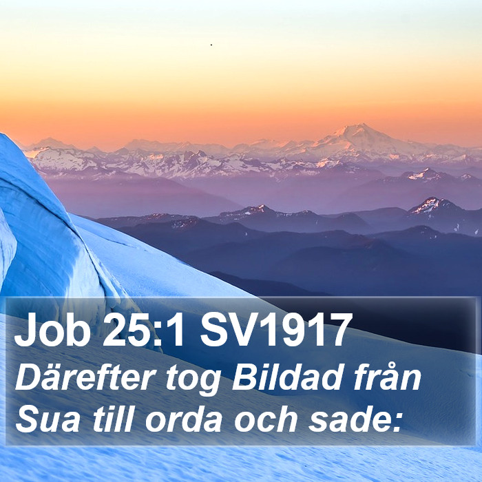 Job 25:1 SV1917 Bible Study