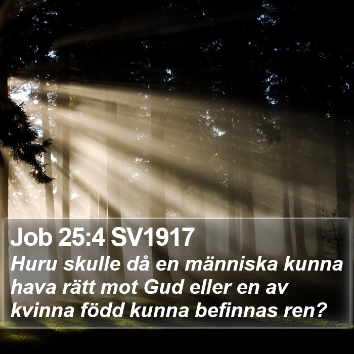 Job 25:4 SV1917 Bible Study