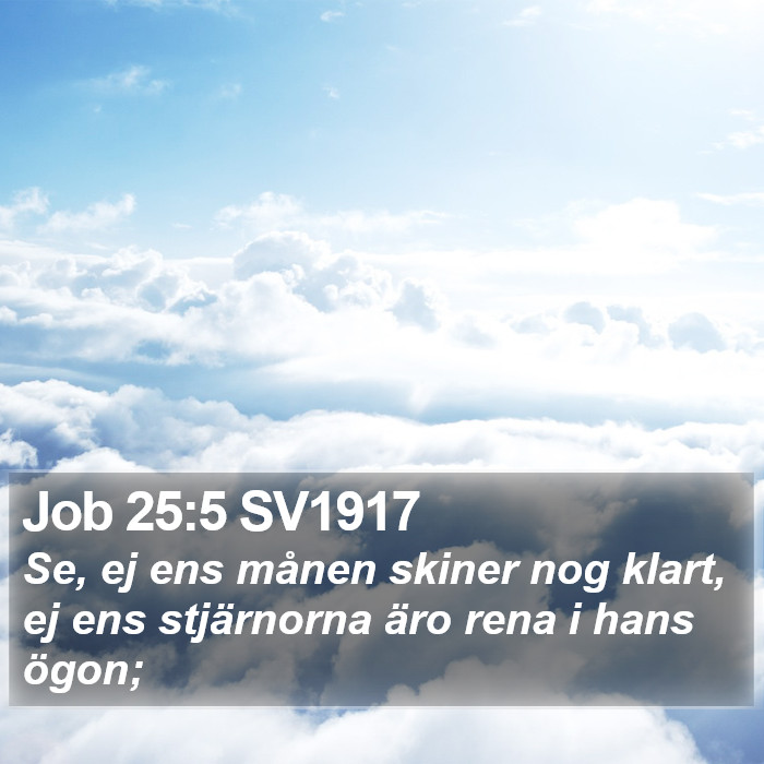 Job 25:5 SV1917 Bible Study