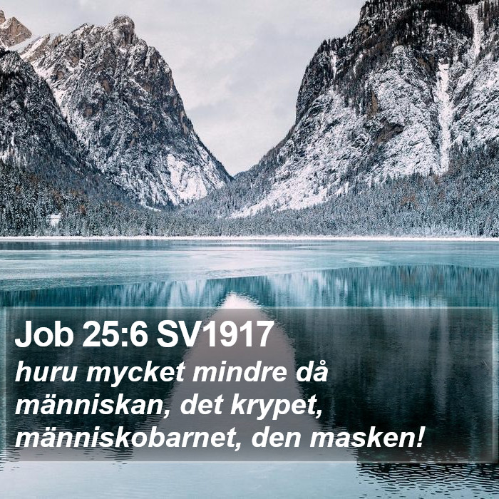 Job 25:6 SV1917 Bible Study