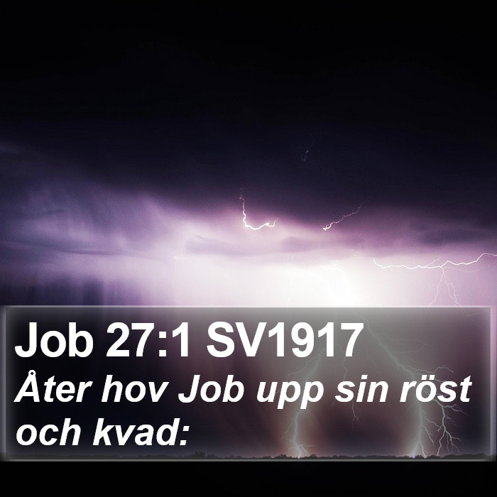 Job 27:1 SV1917 Bible Study