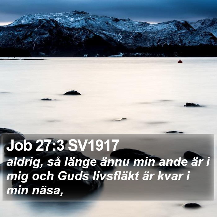 Job 27:3 SV1917 Bible Study