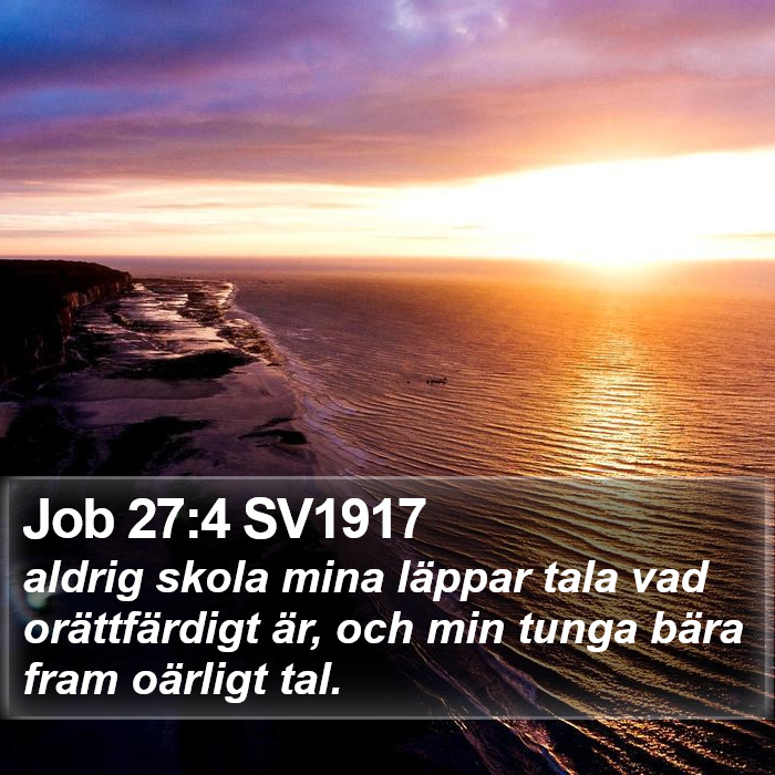 Job 27:4 SV1917 Bible Study