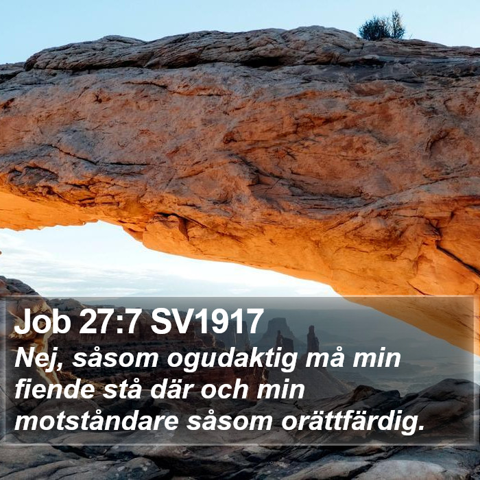 Job 27:7 SV1917 Bible Study