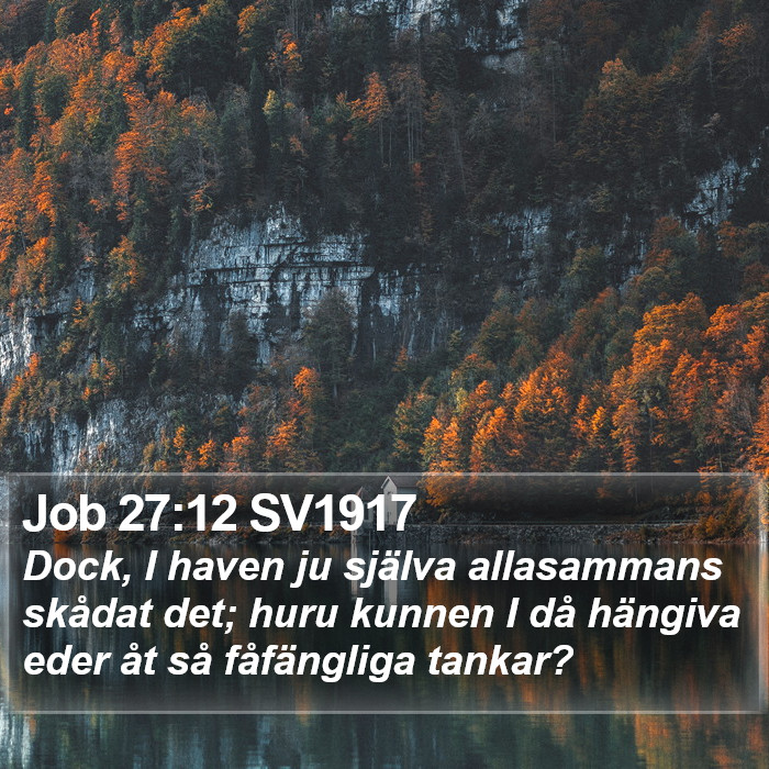 Job 27:12 SV1917 Bible Study