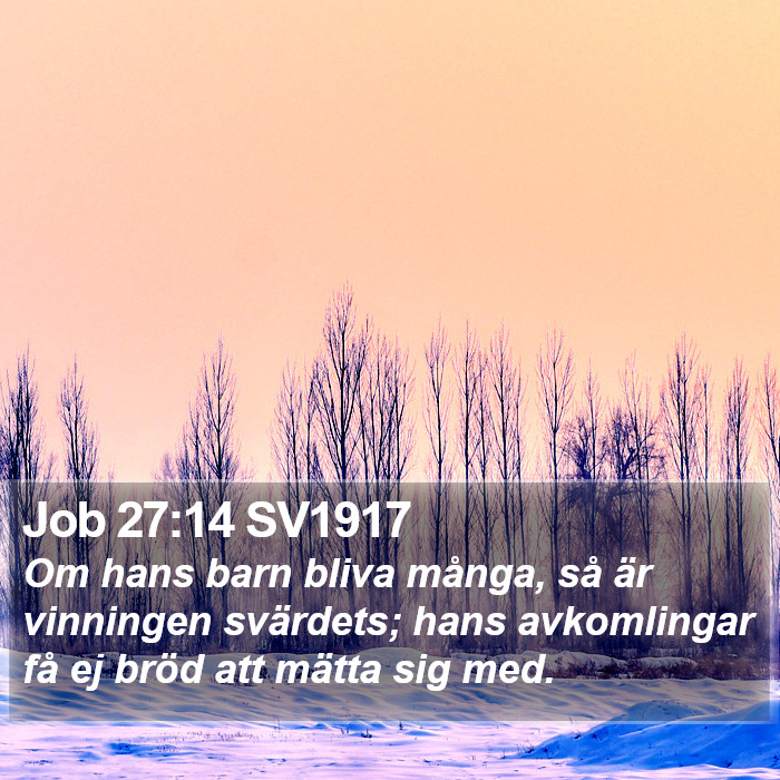 Job 27:14 SV1917 Bible Study