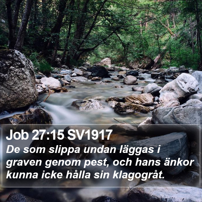 Job 27:15 SV1917 Bible Study