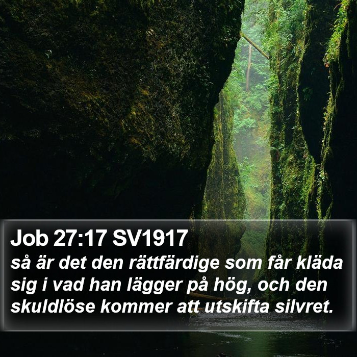 Job 27:17 SV1917 Bible Study