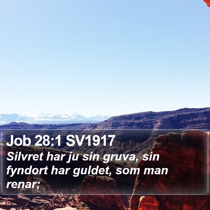 Job 28:1 SV1917 Bible Study