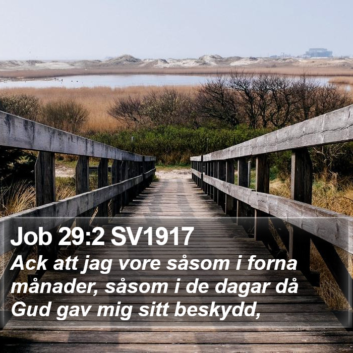 Job 29:2 SV1917 Bible Study