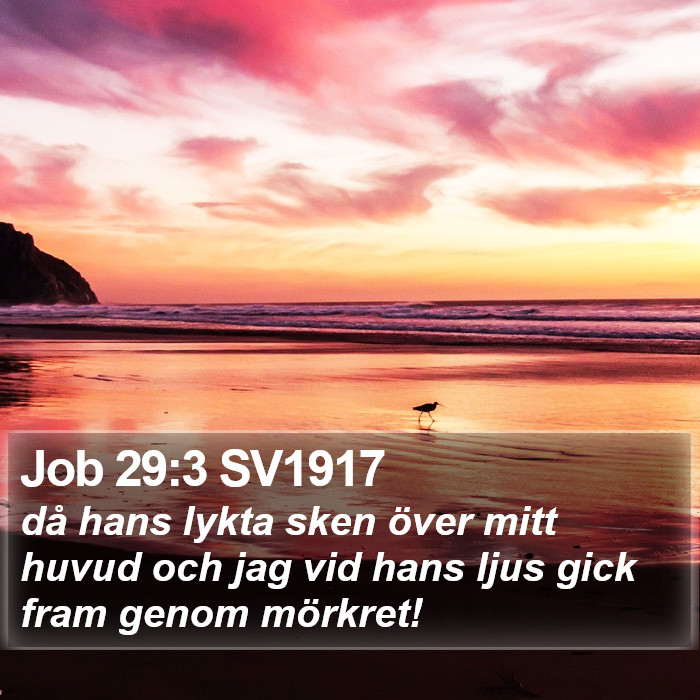 Job 29:3 SV1917 Bible Study