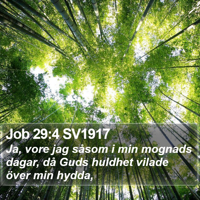 Job 29:4 SV1917 Bible Study