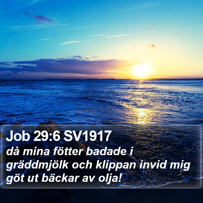 Job 29:6 SV1917 Bible Study