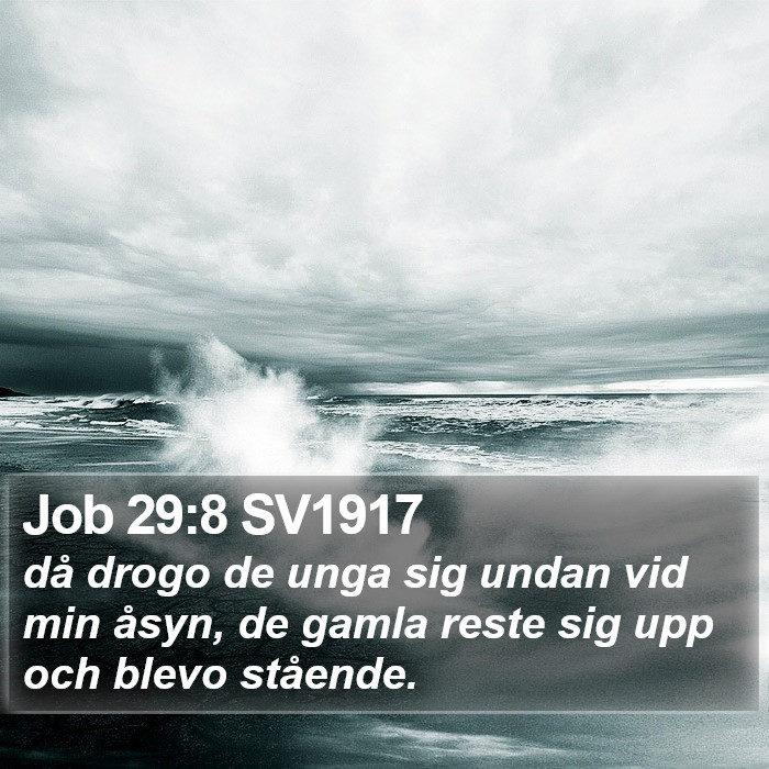 Job 29:8 SV1917 Bible Study