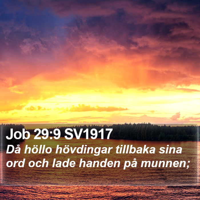 Job 29:9 SV1917 Bible Study