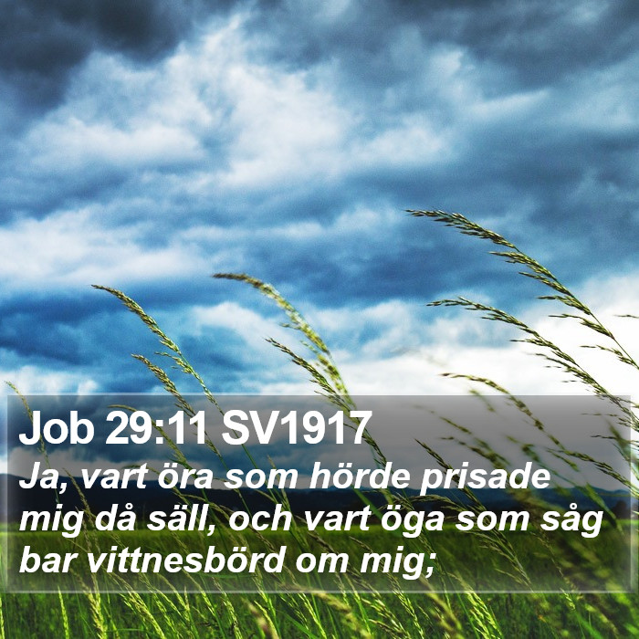 Job 29:11 SV1917 Bible Study