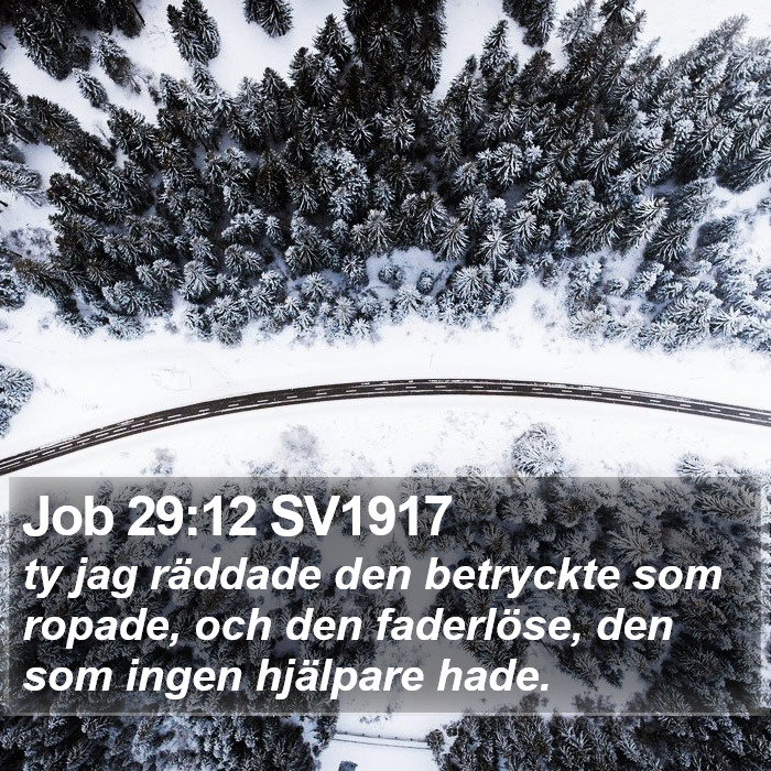 Job 29:12 SV1917 Bible Study