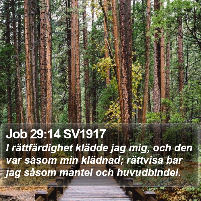 Job 29:14 SV1917 Bible Study