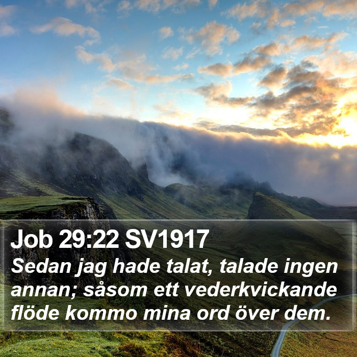 Job 29:22 SV1917 Bible Study