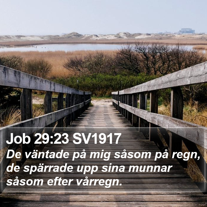 Job 29:23 SV1917 Bible Study