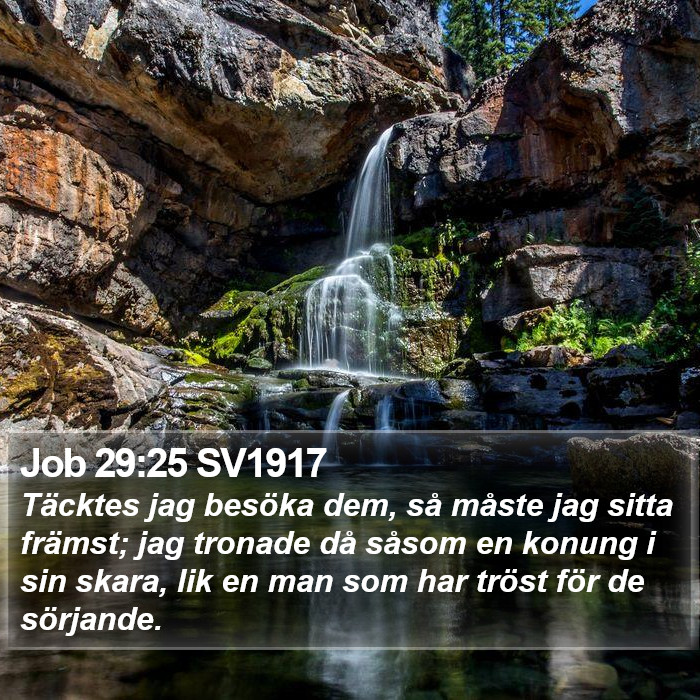 Job 29:25 SV1917 Bible Study