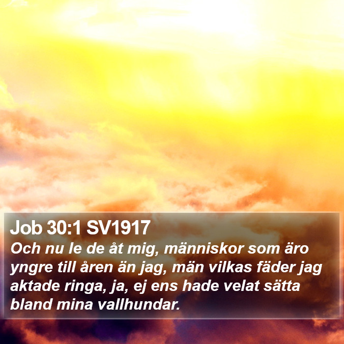 Job 30:1 SV1917 Bible Study