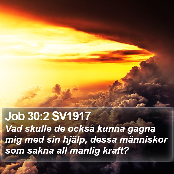 Job 30:2 SV1917 Bible Study