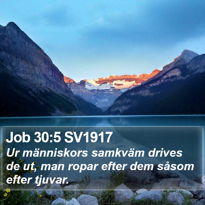 Job 30:5 SV1917 Bible Study