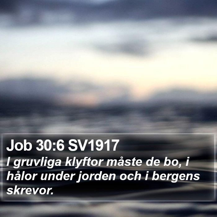 Job 30:6 SV1917 Bible Study