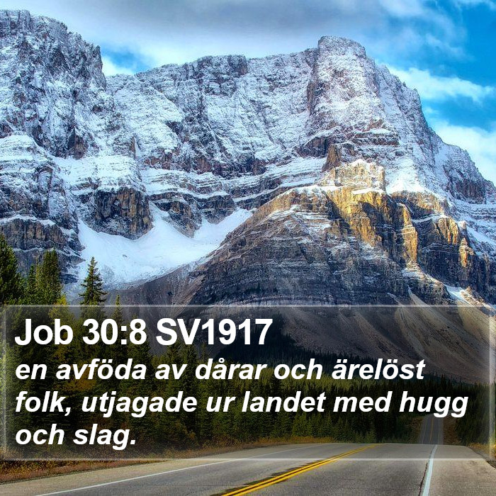 Job 30:8 SV1917 Bible Study