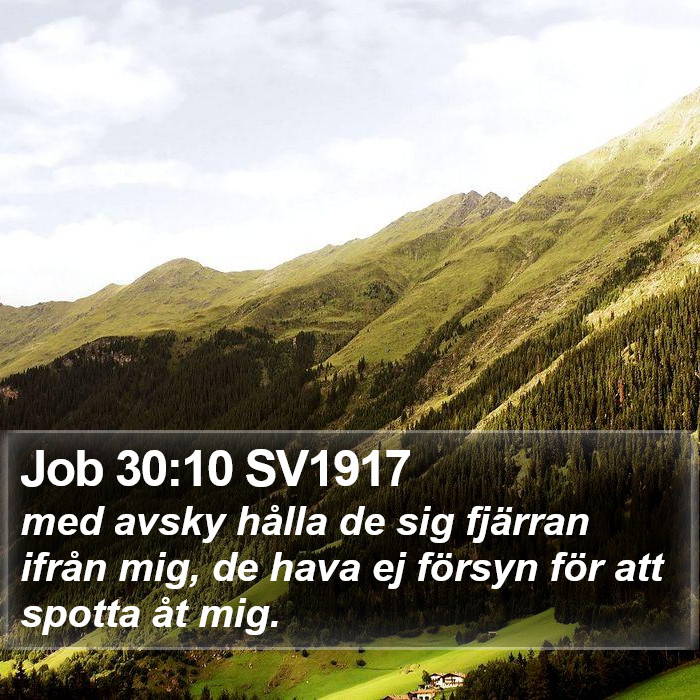 Job 30:10 SV1917 Bible Study