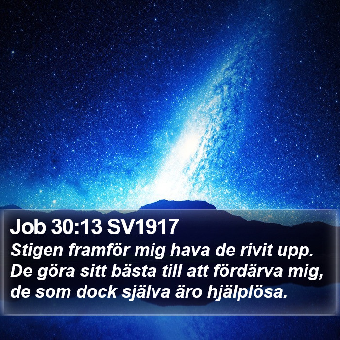 Job 30:13 SV1917 Bible Study